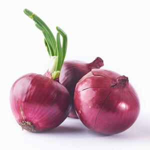 Onion
